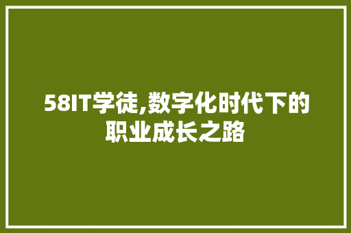 58IT学徒,数字化时代下的职业成长之路
