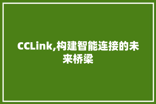 CCLink,构建智能连接的未来桥梁 GoogleSEO
