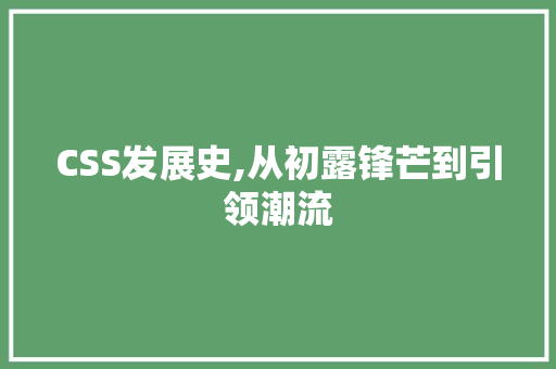 CSS发展史,从初露锋芒到引领潮流 神马SEO