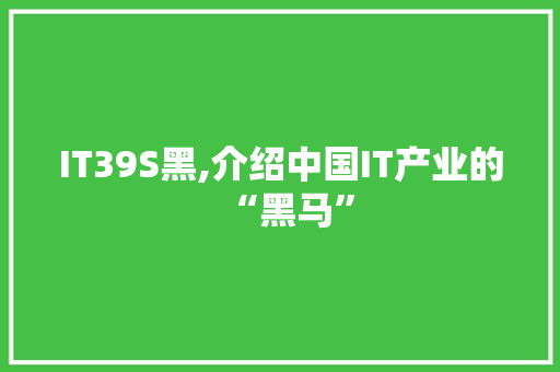 IT39S黑,介绍中国IT产业的“黑马”
