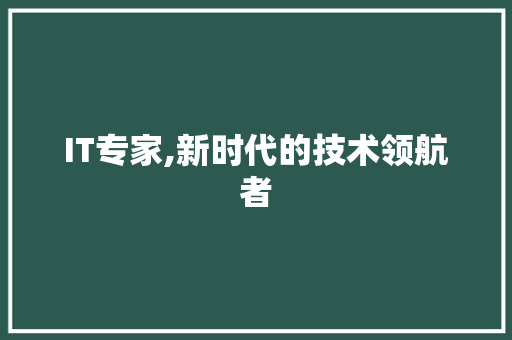 IT专家,新时代的技术领航者