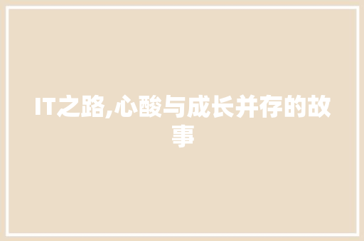 IT之路,心酸与成长并存的故事