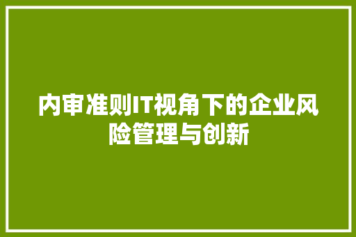 内审准则IT视角下的企业风险管理与创新