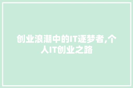 创业浪潮中的IT逐梦者,个人IT创业之路 GoogleSEO