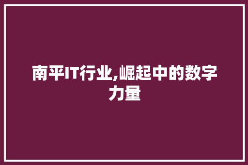 南平IT行业,崛起中的数字力量
