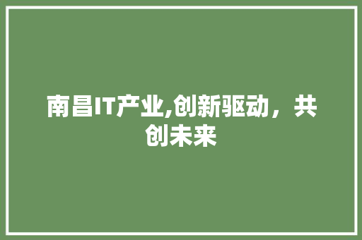 南昌IT产业,创新驱动，共创未来