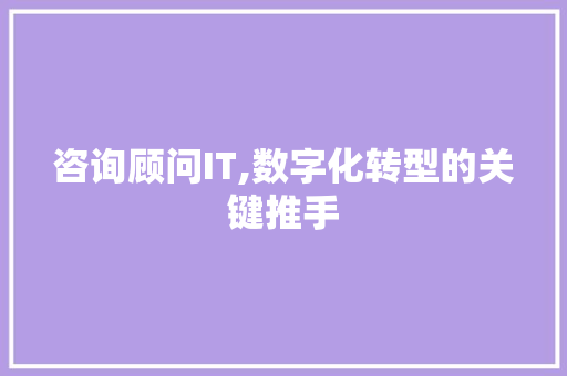 咨询顾问IT,数字化转型的关键推手