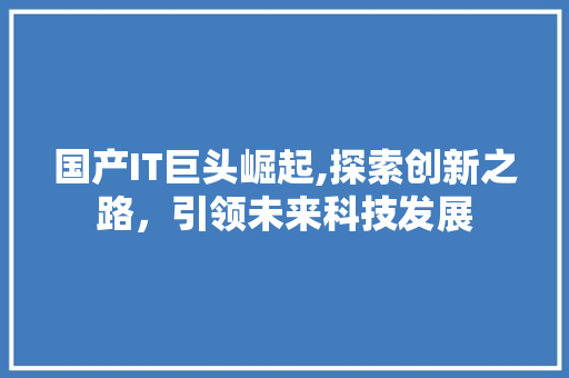 国产IT巨头崛起,探索创新之路，引领未来科技发展