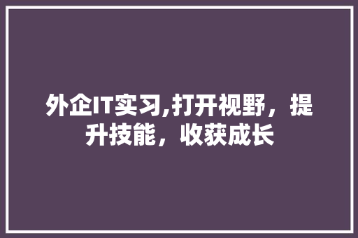 外企IT实习,打开视野，提升技能，收获成长