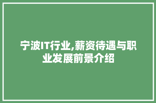 宁波IT行业,薪资待遇与职业发展前景介绍 神马SEO