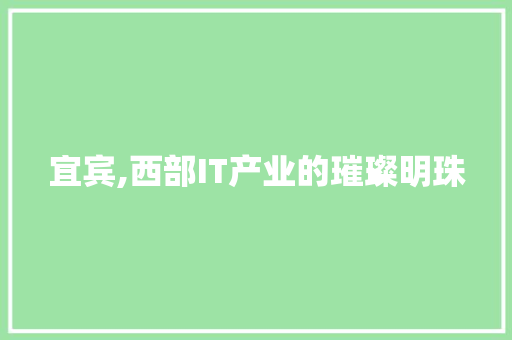 宜宾,西部IT产业的璀璨明珠 神马SEO