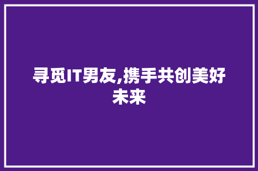寻觅IT男友,携手共创美好未来