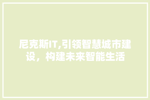尼克斯IT,引领智慧城市建设，构建未来智能生活 百度SEO