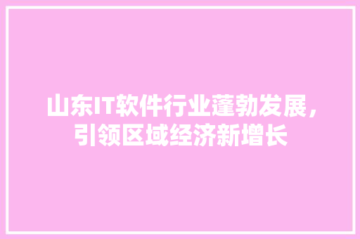 山东IT软件行业蓬勃发展，引领区域经济新增长