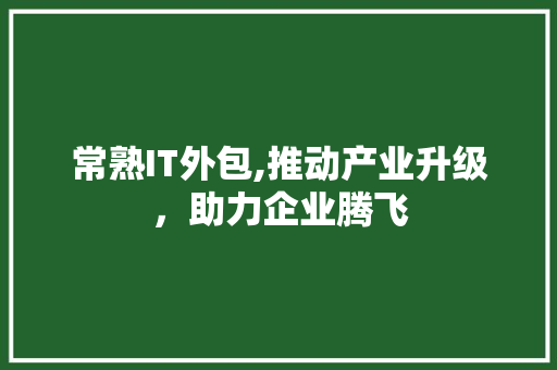常熟IT外包,推动产业升级，助力企业腾飞