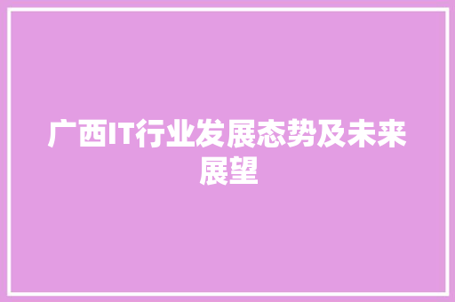 广西IT行业发展态势及未来展望 神马SEO