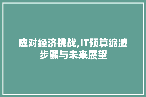 应对经济挑战,IT预算缩减步骤与未来展望 搜狗SEO