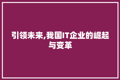 引领未来,我国IT企业的崛起与变革