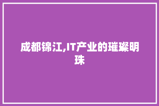 成都锦江,IT产业的璀璨明珠 神马SEO