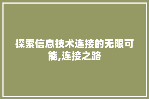 探索信息技术连接的无限可能,连接之路