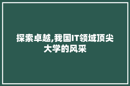 探索卓越,我国IT领域顶尖大学的风采