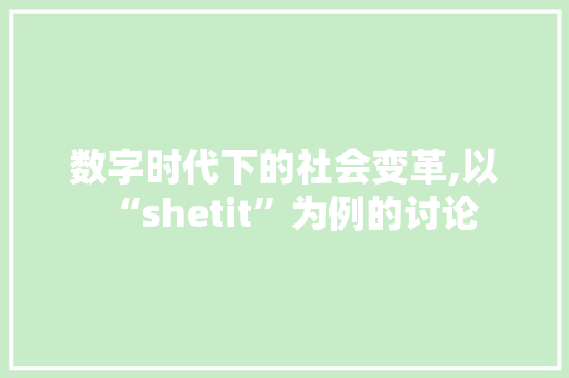 数字时代下的社会变革,以“shetit”为例的讨论