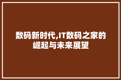 数码新时代,IT数码之家的崛起与未来展望 必应SEO