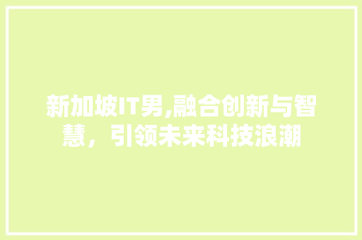 新加坡IT男,融合创新与智慧，引领未来科技浪潮