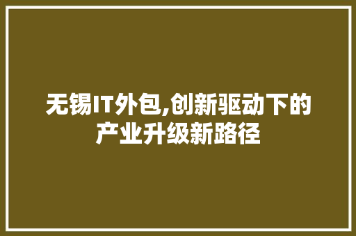 无锡IT外包,创新驱动下的产业升级新路径