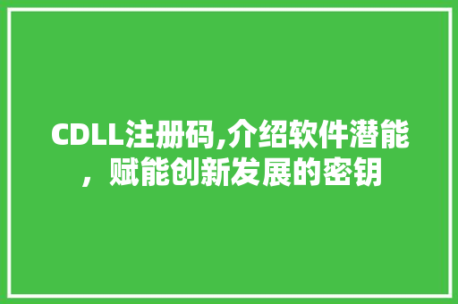 CDLL注册码,介绍软件潜能，赋能创新发展的密钥