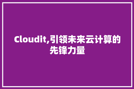 Cloudit,引领未来云计算的先锋力量 神马SEO