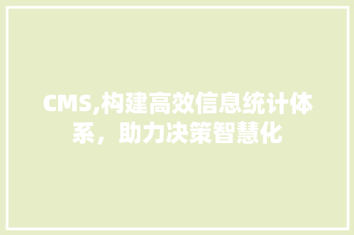 CMS,构建高效信息统计体系，助力决策智慧化 GoogleSEO