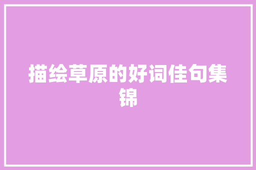 CMS0223,解码数字时代的企业转型密码 神马SEO