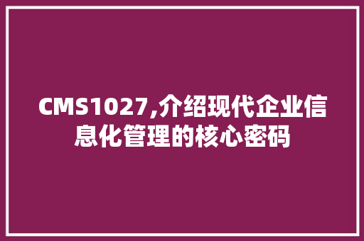CMS1027,介绍现代企业信息化管理的核心密码 百度SEO