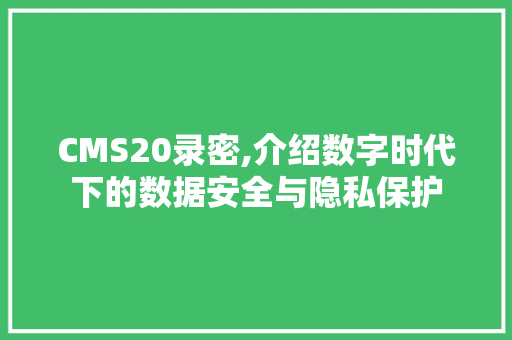 CMS20录密,介绍数字时代下的数据安全与隐私保护