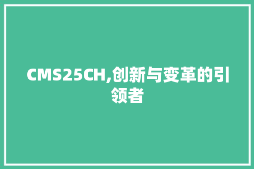 CMS25CH,创新与变革的引领者 神马SEO