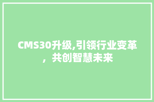 CMS30升级,引领行业变革，共创智慧未来 神马SEO