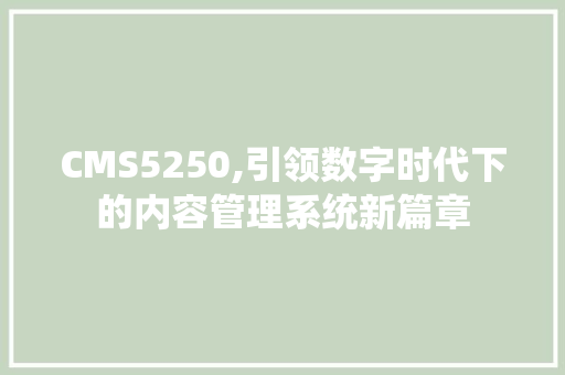 CMS5250,引领数字时代下的内容管理系统新篇章 必应SEO