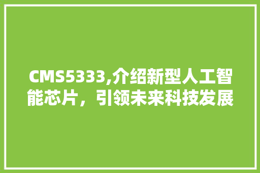 CMS5333,介绍新型人工智能芯片，引领未来科技发展 百度SEO