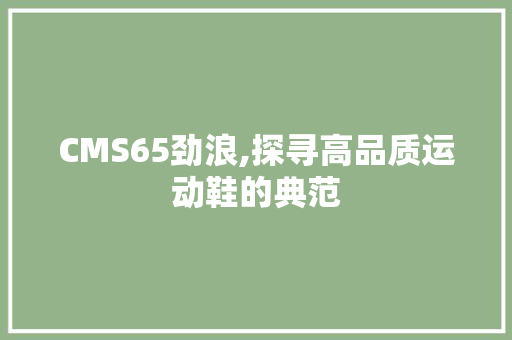 CMS65劲浪,探寻高品质运动鞋的典范