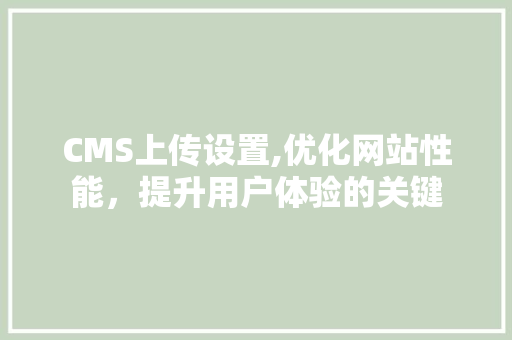 CMS上传设置,优化网站性能，提升用户体验的关键