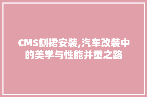 CMS侧裙安装,汽车改装中的美学与性能并重之路