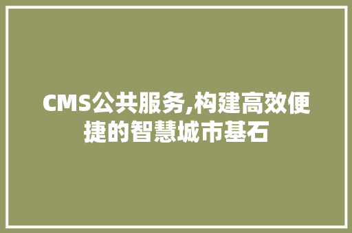 CMS公共服务,构建高效便捷的智慧城市基石
