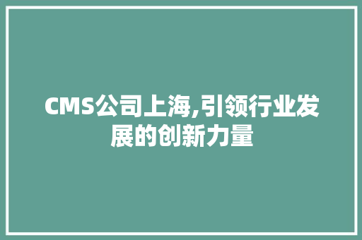 CMS公司上海,引领行业发展的创新力量 必应SEO