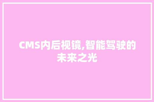 CMS内后视镜,智能驾驶的未来之光
