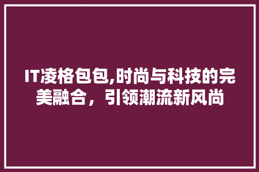 IT凌格包包,时尚与科技的完美融合，引领潮流新风尚