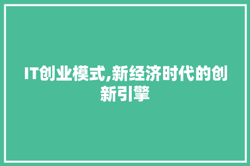 IT创业模式,新经济时代的创新引擎 神马SEO