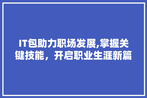 IT包助力职场发展,掌握关键技能，开启职业生涯新篇章 GoogleSEO