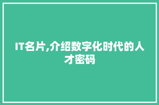 IT名片,介绍数字化时代的人才密码 百度SEO