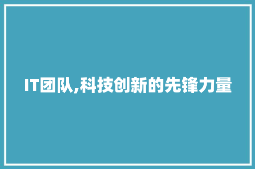 IT团队,科技创新的先锋力量 搜狗SEO